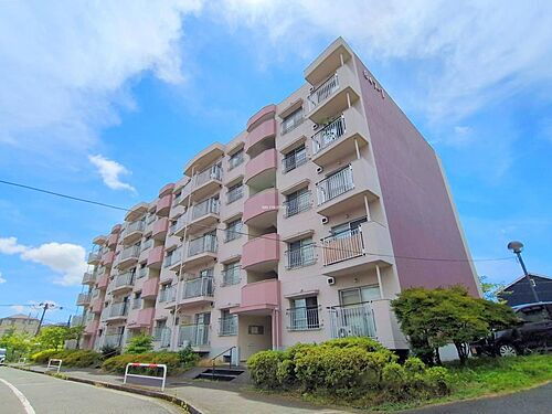 神奈川県横浜市港南区野庭町 5階建