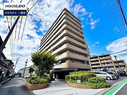 モアグレース馬引