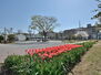 パークスクエア三ツ沢公園ブリーズテラス 岡野公園　1200m　野球場、プールから遊具は幼児も遊べるものまでそろっている、子供たちは退屈することのない場所です。 