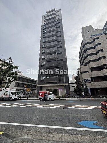 現地画像ありベルドゥムール本厚木