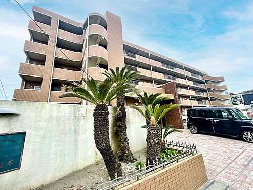 神奈川県逗子市新宿２丁目 5階建