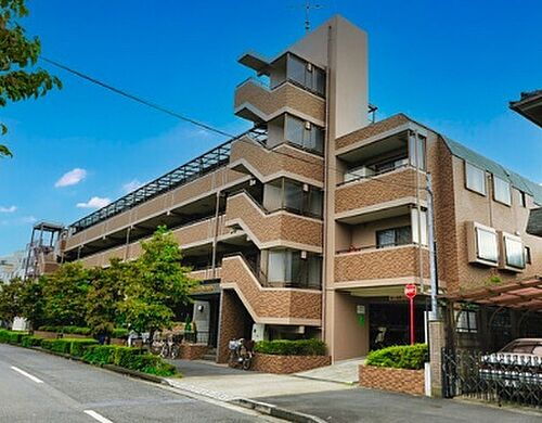 東京都稲城市押立 5階建