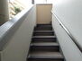 ファミールグラン高井戸デュープレックス 共用部の階段です。明るく清潔に管理されています。
