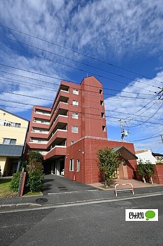 グリーンフィールド　中野