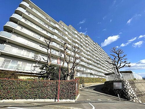 泉北星和台コーポラス