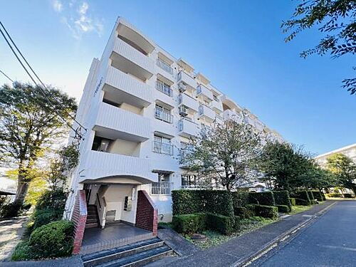 北柏ライフタウン松葉町１丁目第一団地　１１号棟