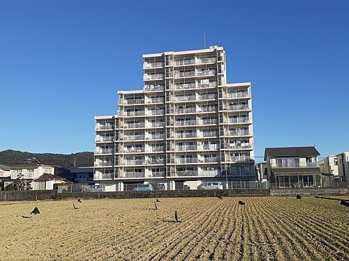 アーク延岡大貫　３ＬＤＫ１１階