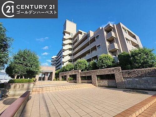 サーパス千波緑岡８Ｆ