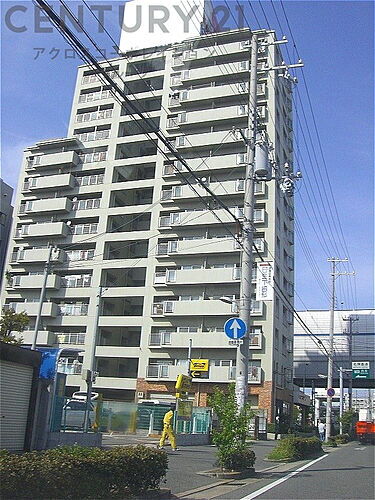 ネオダイキョー甲子園２